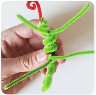Chameleon_6